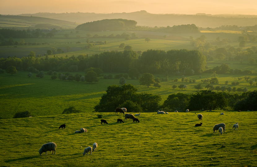 Farm