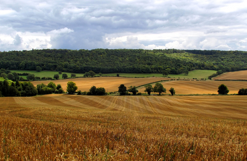 Countryside