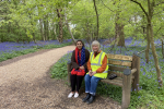 Bluebell Walk