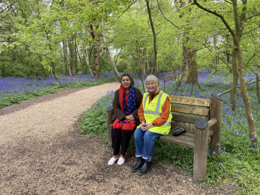 Bluebell Walk