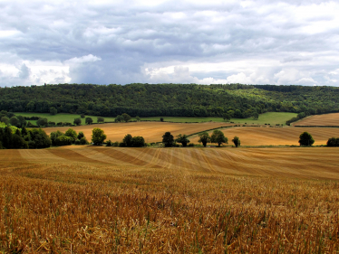 Countryside